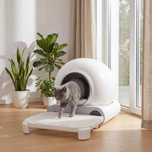 Pure Step – Vorleger für Katzentoilette, Vorderansicht