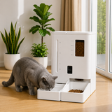 PetMaison Duo — ciotola e fontanella automatica per gatti