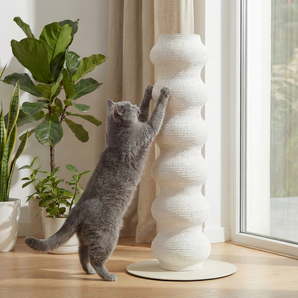 PetMaison Pillar – Kratzbaum für Katzen